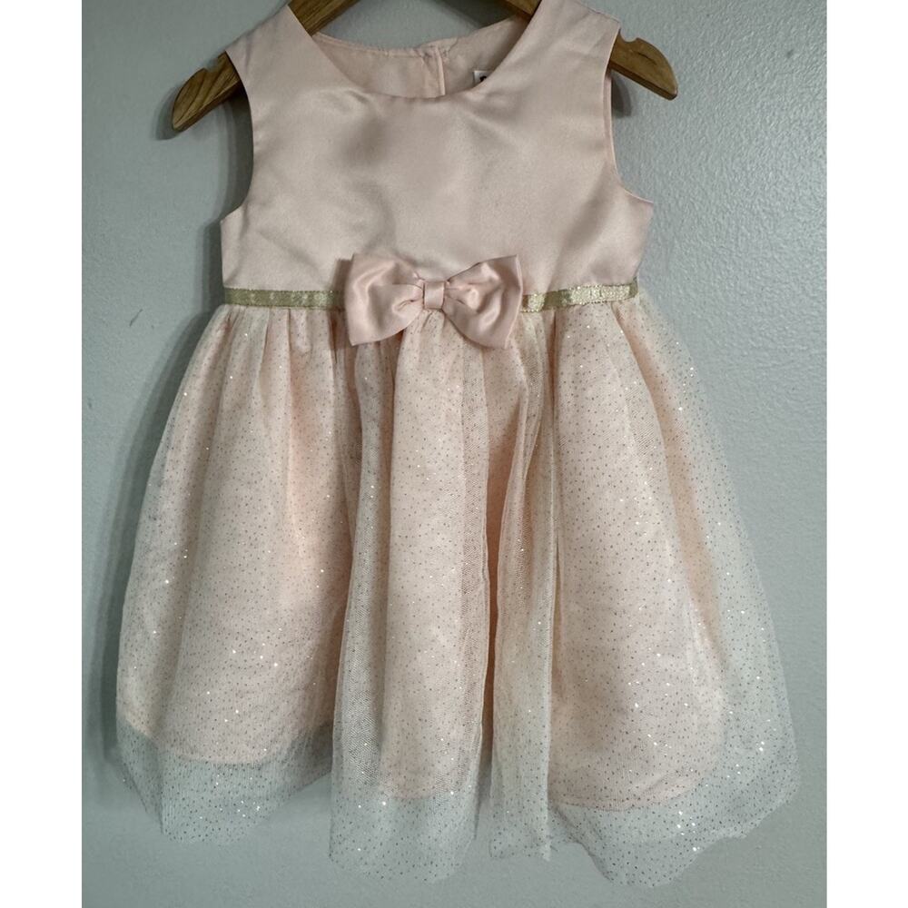 Blueberi Boulevard Coat Dress Girls 24 Months Pink Roses Easter Flower Girl NEW - Picture 10 of 15